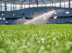 奥多贝尔信,心满满,热刺赛场无,LeYu,Sports,乐鱼体育,乐鱼体育入口,乐鱼体育官网,乐鱼体育APP下载