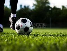 乐鱼体育,资讯,LeYu,LeYu,Sports,乐鱼体育,乐鱼体育入口,乐鱼体育官网,乐鱼体育APP下载