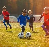 乐鱼体育,资讯,LeYu,LeYu,Sports,乐鱼体育,乐鱼体育入口,乐鱼体育官网,乐鱼体育APP下载