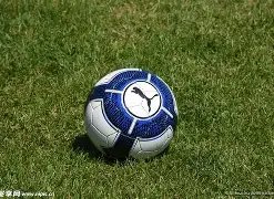 乐鱼体育,资讯,LeYu,LeYu,Sports,乐鱼体育,乐鱼体育入口,乐鱼体育官网,乐鱼体育APP下载