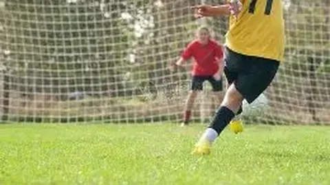 《愤怒激情！尼斯球迷爆发冲突，球场内上演激烈对抗，球员与总监遭遇暴力冲击》