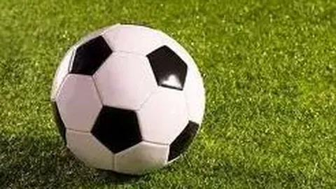 乐鱼体育 资讯 083627 hvq