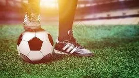 乐鱼体育 资讯 083631 2c3