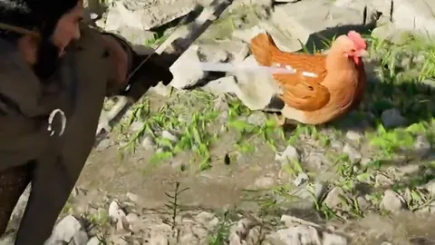 利比亚发现两处乱葬坑，埋葬数十人遗体