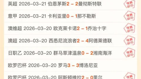 金梦青：追逐金色手球梦的青春旅程